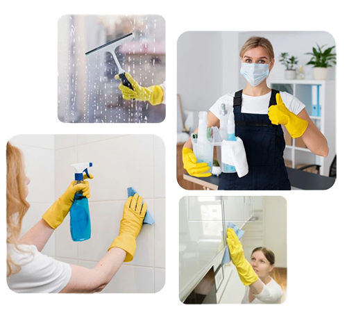 Specialized SEO and optimization